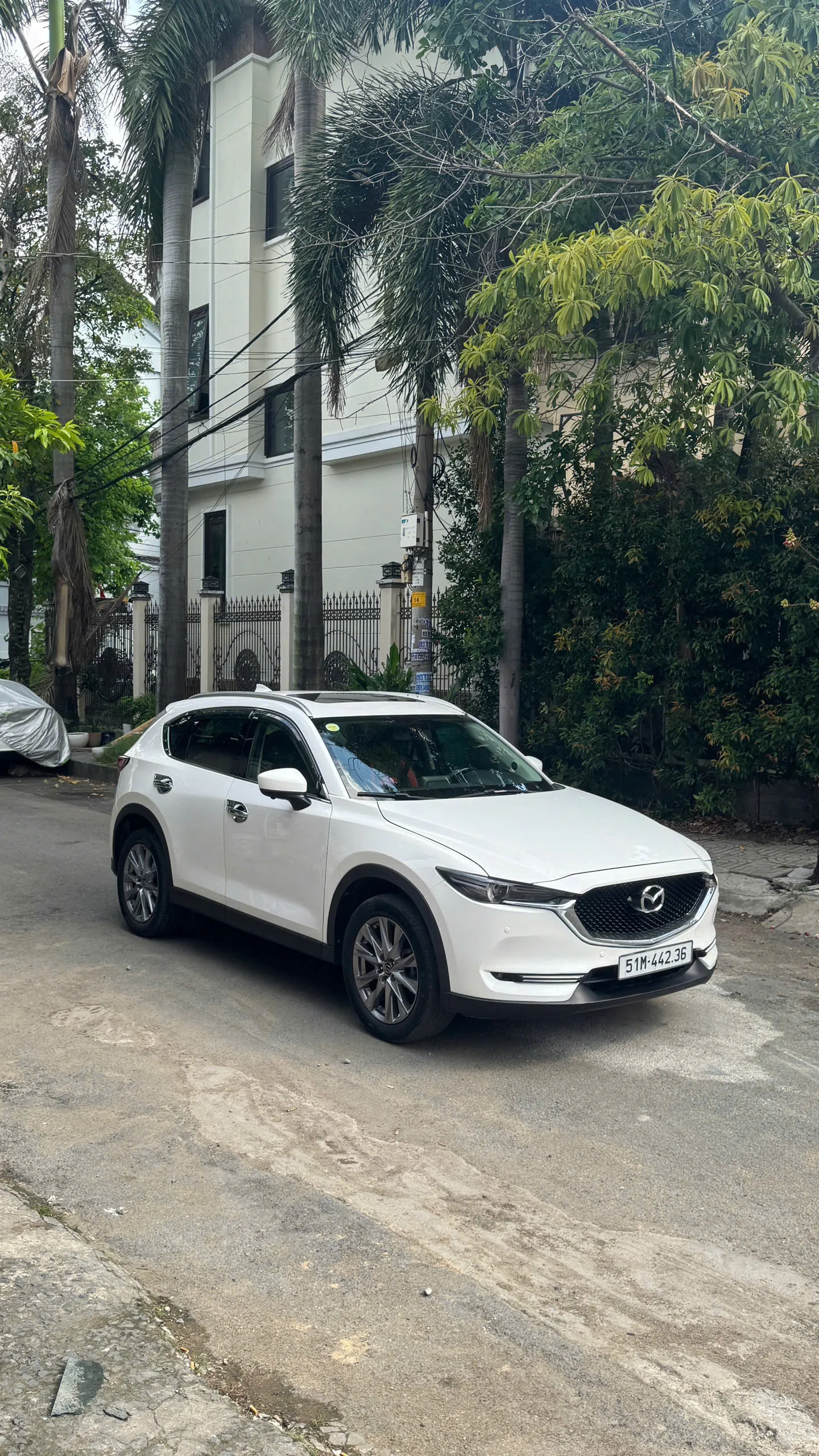 MAZDA CX5 - Ảnh 3