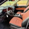 kia carnival - Ảnh 6